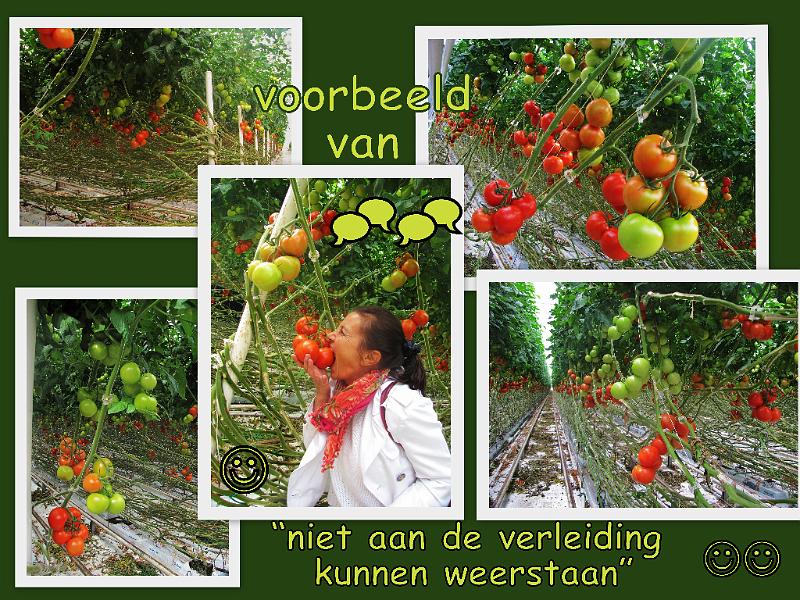 5e Taxandriarit op 1-9-2013 (50).jpg